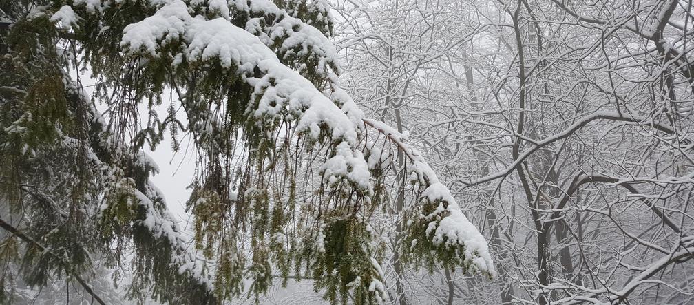 Mocno zimowy szczyrk... w kwietniu! [ZDJĘCIA]