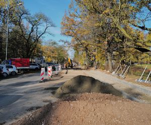 To bardzo ważny remont dla Bałut! Na jakim etapie znajdują się prace przy ul. Pankiewicza