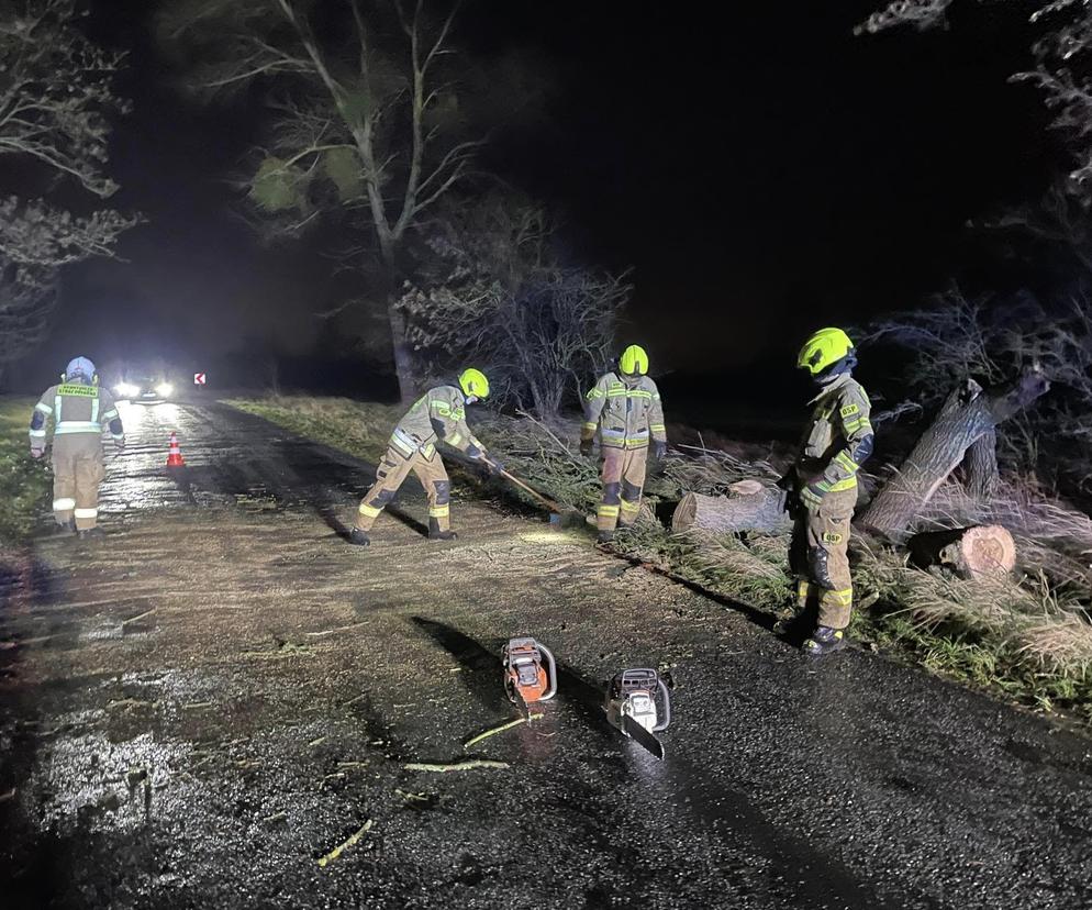 Zachodniopomorskie. Ponad tysiąc interwencji strażaków w związku z wichurami