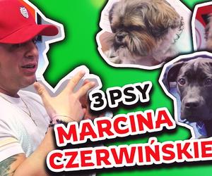 Marcin Czerwiński zabrał do Radia SuperNova aż trzy psy! Tak bawili się w naszym studio