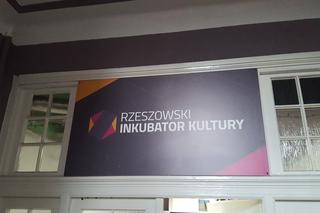 Rzeszowski Inkubator Kultury zachęca do adopcji! Chodzi o... rośliny!