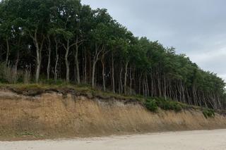 Plaża w Dziwnówku podczas zachodu słońca