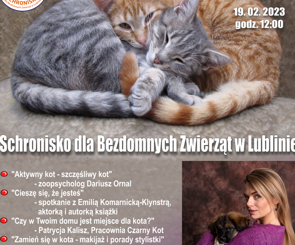 Lublin - Światowy Dzień Kota i Dzień Otwarty w Schronisku