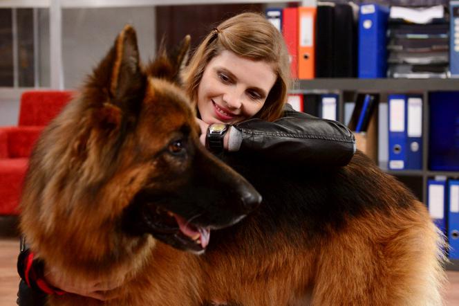 Komisarz Alex 6 sezon odc. 74 (odc. 9). Nina Kruk (Karolina Nolbrzak)