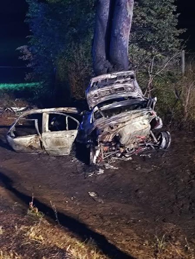 BMW uderzyło w drzewo i zapaliło się, Zginęła jedna osoba!