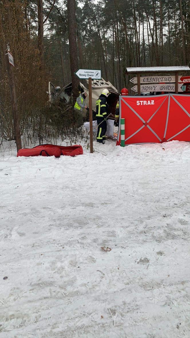 Śmiertelny wypadek w Lidzbarku. Bus uderzył w drzewo. Nie żyje młoda kobieta