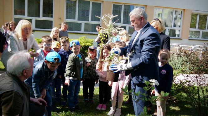 Świętokrzyskie przedszkolaki sadzą miododajne krzewy dla pszczół