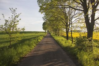 Opuszczone wsie na Podkarpaciu. Czemu nikt już tutaj nie mieszka? 