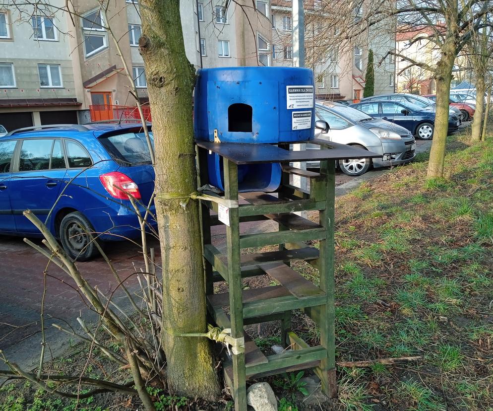 Karmniki dla kotów w Gdańsku. Tam możesz wrzucić karmę i świeżą wodę 