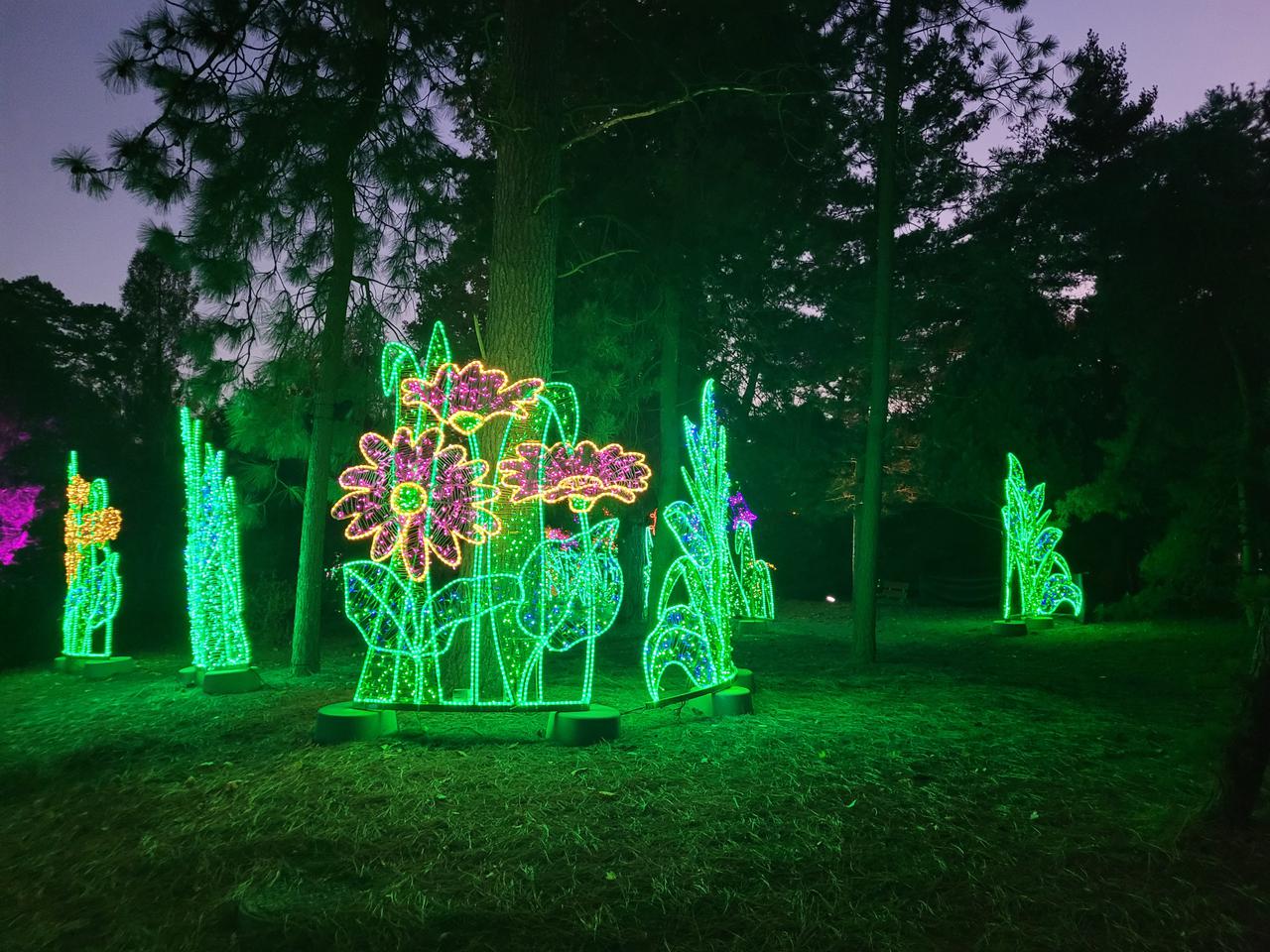 Pierwszy park iluminacji w Poznaniu już działa! [CENY,GODZINY OTWARCIA]