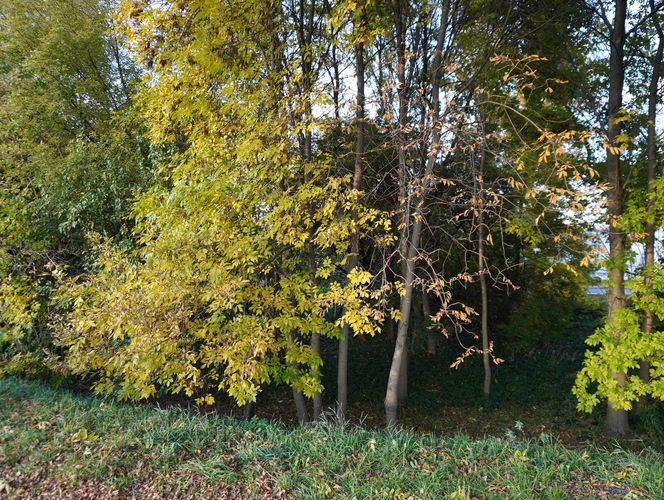  Tak wygląda bulwar im. Zalewskiego w Lublinie 