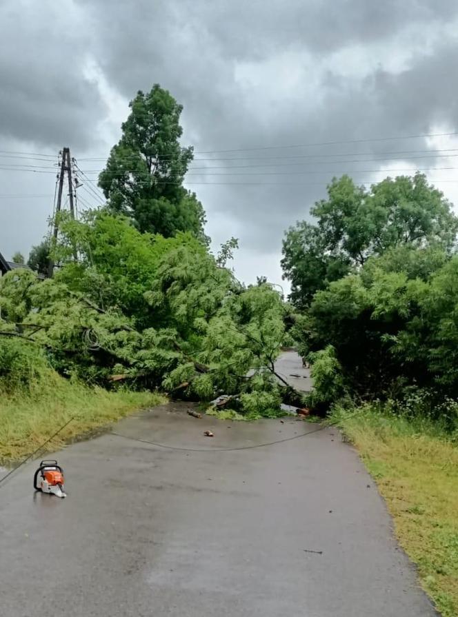 Działania straży podczas wakacji