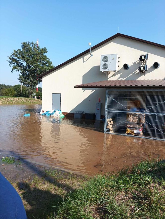 Powódź w gminie Szprotawa 