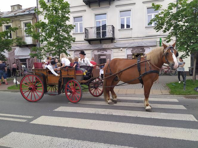 Siedlczanie mogli wsiąść w wehikuł czasu i zobaczyć ulicę Pułaskiego - Piękną sprzed stu lat