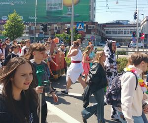 Korowód studencki rozpoczyna Juwenalia Śląskie 2025 w Katowicach