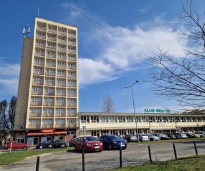 Historia wśród drzew! Tak żyje się na osiedlu Leśnym w Bydgoszczy