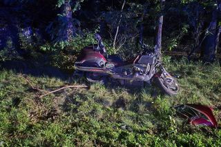 Motocyklista wjechał w łosia. Nie żyje pasażerka, kierujący trafił do szpitala