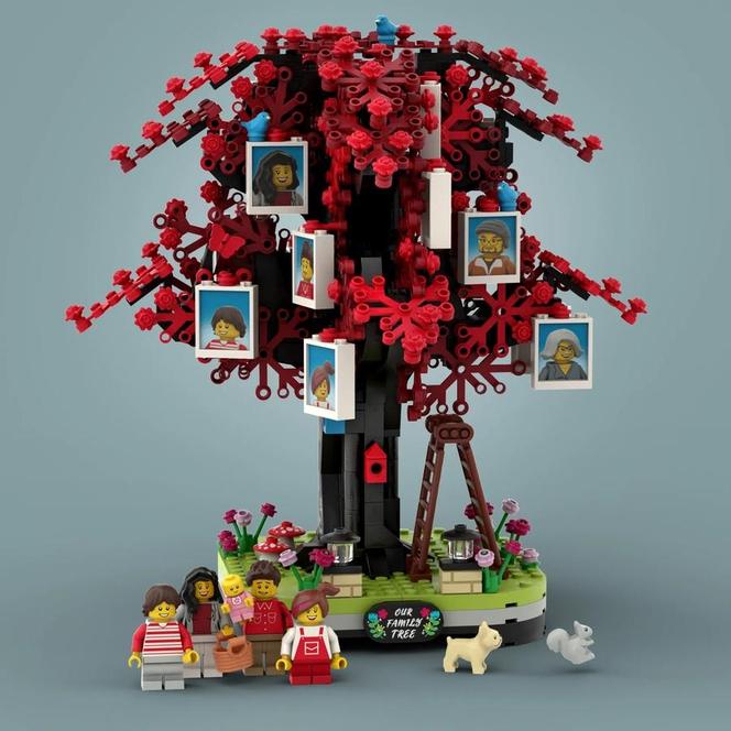 Drzewo genealogiczne (Family Tree - 21346)
