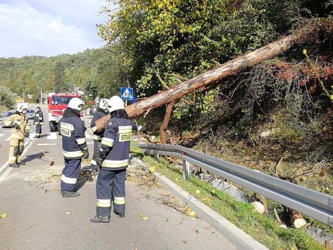 Ponad 10 zgłoszeń od godziny 11:00 wpłynęło do strażaków w Ostrowcu Świętokrzyskim