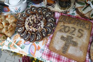 Dożynki Wojewódzkie w Małym Płocku 2025