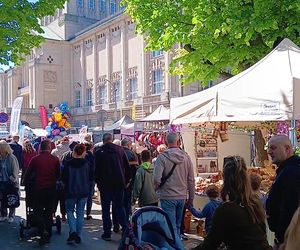 Piknik nad Odrą