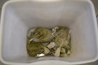 Ponad 8 tysięcy żywych pijawek w workach. Nietypowy przemyt udaremniony [ZDJĘCIA]