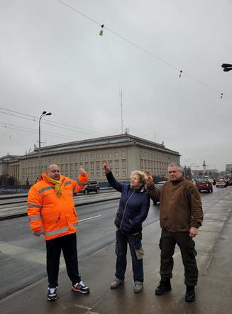 MPK Wrocław pomaga łabędziom