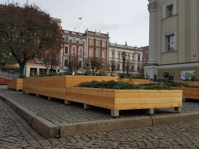 Na Rynku w Lesznie stanęły ogromne donice