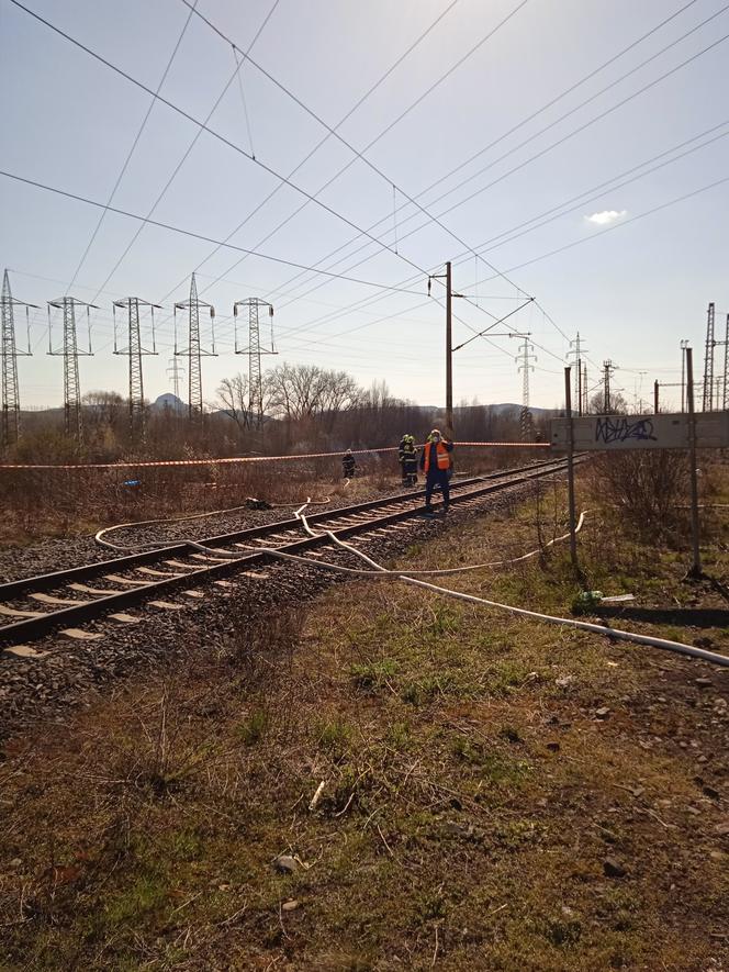 W Czechach zderzyły się w Niedzielę Wielkanocną dwa pociągi towarowe