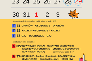 Organizacja komunikacji miejskiej w okresie Wszystkich Świętych