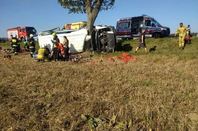 Tragiczny Wypadek Busa z Dziećmi w Miejscowości Lechów