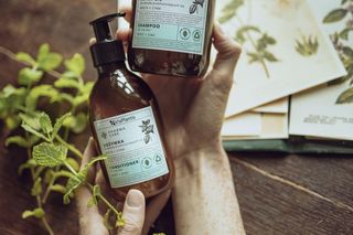 Mięta na włosy? Lekkość i uczucie niesamowitej świeżowści w prostym kroku