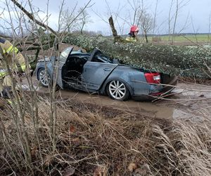 Groźne wichury na Warmii i Mazurach. Drzewo spadło na jadące auto, jedna osoba ranna