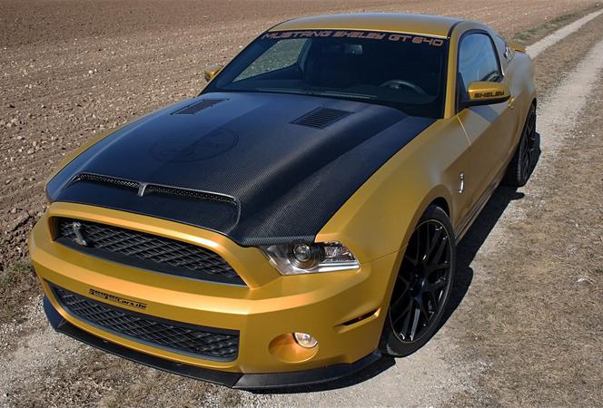 Ford Mustang Golden Snacke