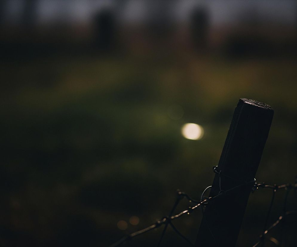 Na pierwszym planie, po prawej stronie kadru, widać pionowy drewniany słupek pokryty drobnymi kroplami wody, do którego przymocowana jest metalowa siatka ogrodzeniowa. Słupek i siatka są w głębokim cieniu, co sprawia, że ich kolory są ciemnobrązowe i czarne. W tle znajduje się rozmyty, ciemnozielony krajobraz, na którym wyróżnia się pojedyncze, jasne, owalne światło bokeh, prawdopodobnie odbicie słońca lub latarni.