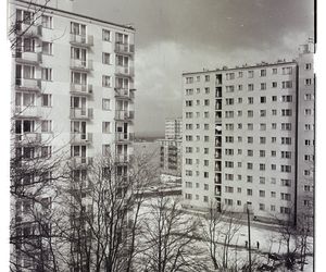 Zielona Góra w zimowej aurze. Czesław Łuniewicz uchwycił zimę kilkadziesiąt lat temu na fotografiach