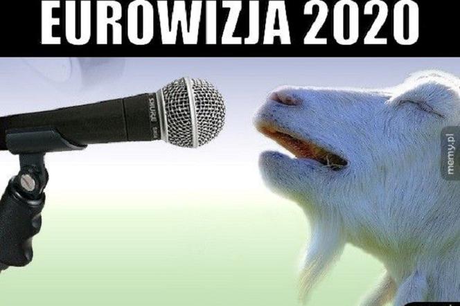 Eurowizja 2018 - najlepsze memy i żarty obrazkowe