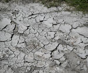 Wisła bije niechlubny rekord. Susza hydrologiczna zagraża całej Polsce