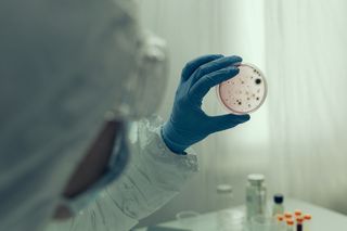 Przełom w leczeniu stwardnienia rozsianego? Naukowcy opracowali probiotyk