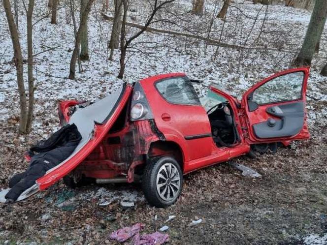 Śmiertelny wypadek w Parkowie. Dwie osoby nie żyją. 