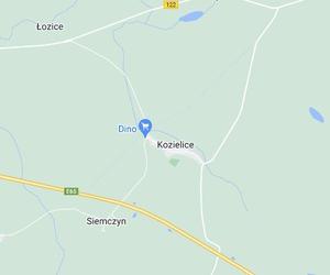 Kozielice