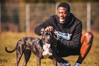 Pasaż Grunwaldzki i Panthers Wrocław w szczytnej akcji! Adoptuj pieska ze schroniska