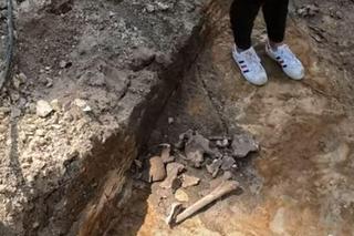 Odkrycie archeologiczne w Mysłowicach