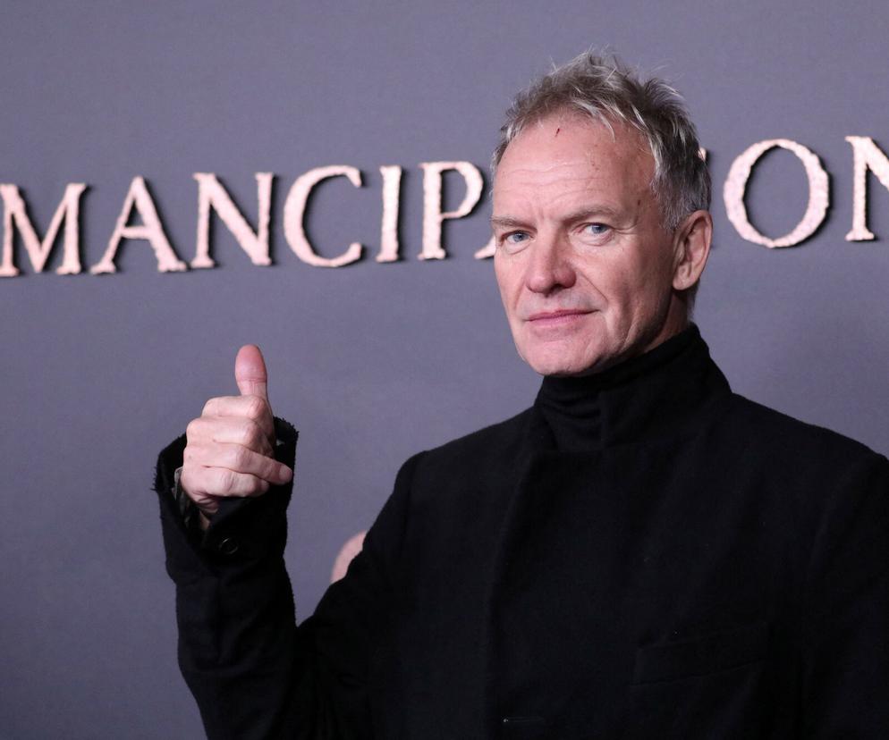 Sting - wszystkie role filmowe artysty. Jak sobie radził przed kamerą?