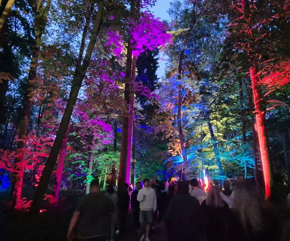 Olsztyn zamienił się w bajeczną krainę. Park Świateł przyciągnął tłumy!