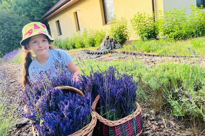 Dwie dziewczynki z Bydgoszczy zarabiają na wakacje. Ludzie zamawiają u nich od razu po kilka bukietów 