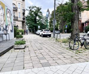 Mniej betonu, więcej zieleni. Miasto odbrukuje ulicę na poznańskich Jeżycach, ale nie całą