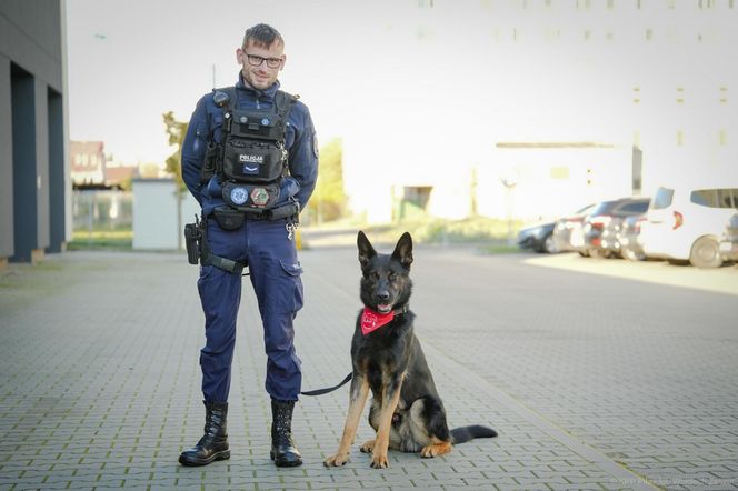 Pies honorowy krwiodawca