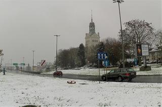Pierwszy śnieg w Szczecinie