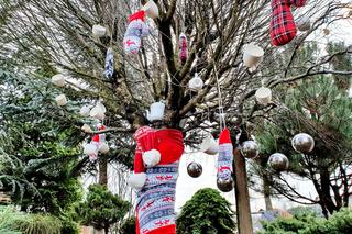 Ogrody Kapias przygotowane na zimę